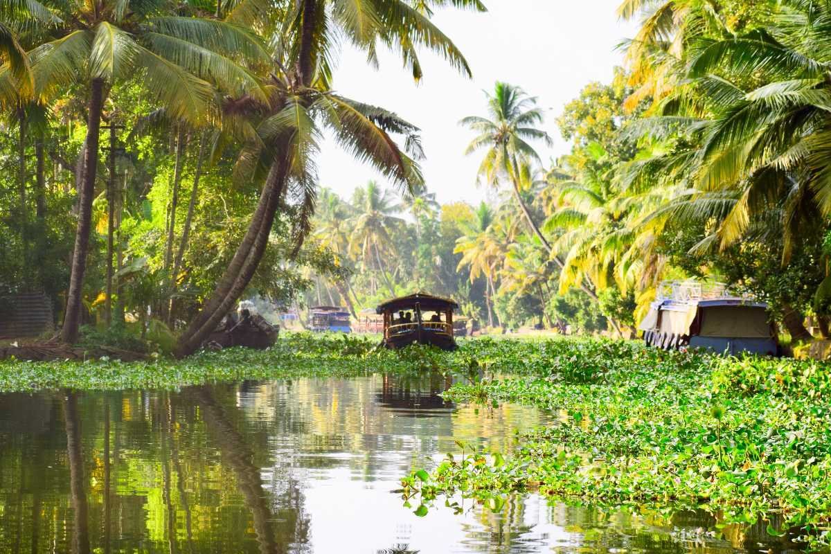 Alleppey to Madurai Taxi