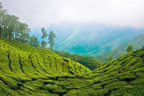 Munnar to Madurai Taxi
